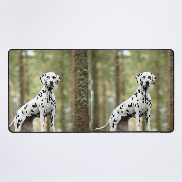 Item preview, Dalmatian Dog Standing in a Forest designed and sold by VanGaldo.