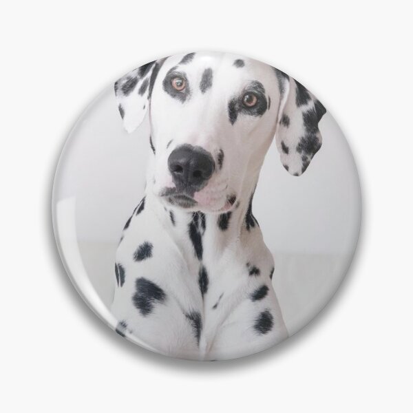 Item preview, Close-Up Face Portrait of a Purebred Dalmatian Dog designed and sold by VanGaldo.