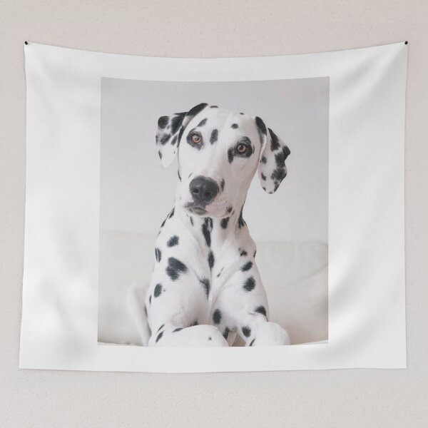 Item preview, Close-Up Face Portrait of a Purebred Dalmatian Dog designed and sold by VanGaldo.