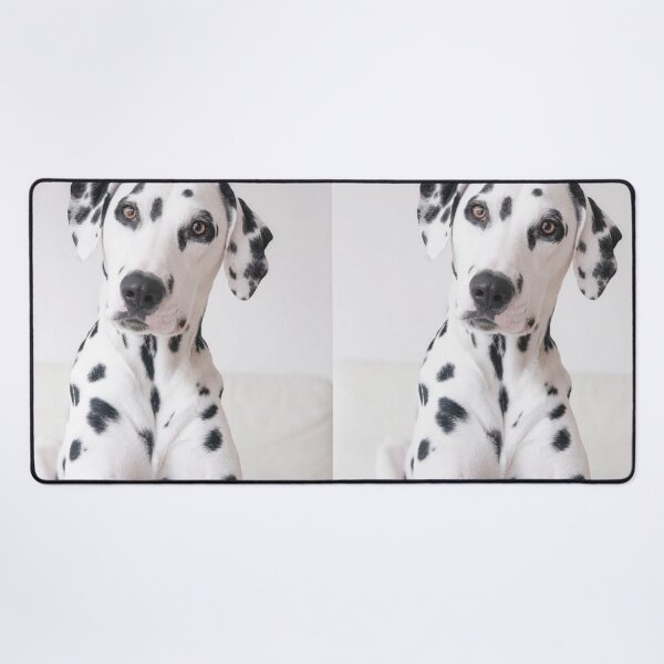 Item preview, Close-Up Face Portrait of a Purebred Dalmatian Dog designed and sold by VanGaldo.
