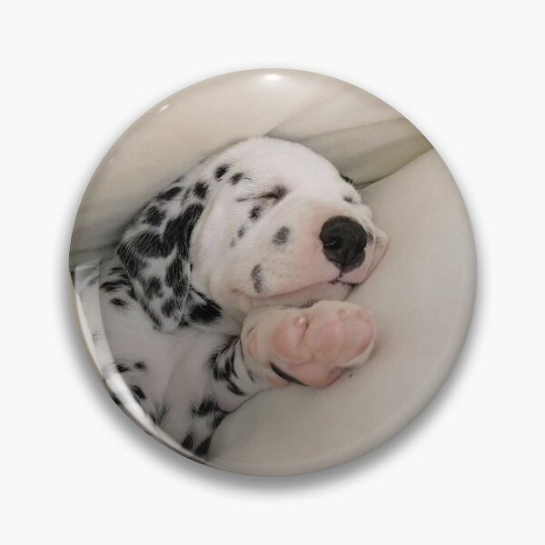 Item preview, Close-Up Portrait of a Sleeping Dalmatian Puppy designed and sold by VanGaldo.