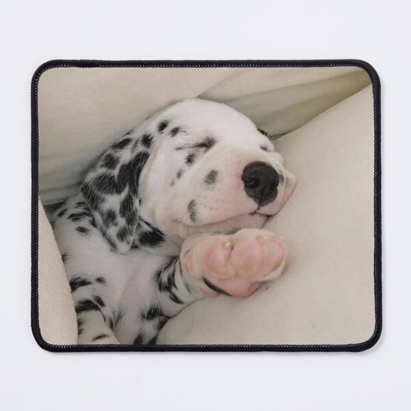 Item preview, Close-Up Portrait of a Sleeping Dalmatian Puppy designed and sold by VanGaldo.