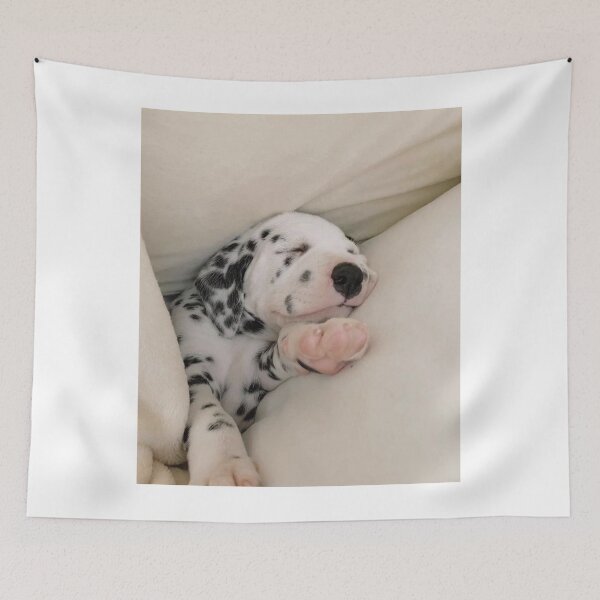 Item preview, Close-Up Portrait of a Sleeping Dalmatian Puppy designed and sold by VanGaldo.