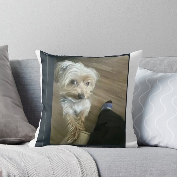 Item preview, fruitt ahh dogg designed and sold by cloudzer0000.