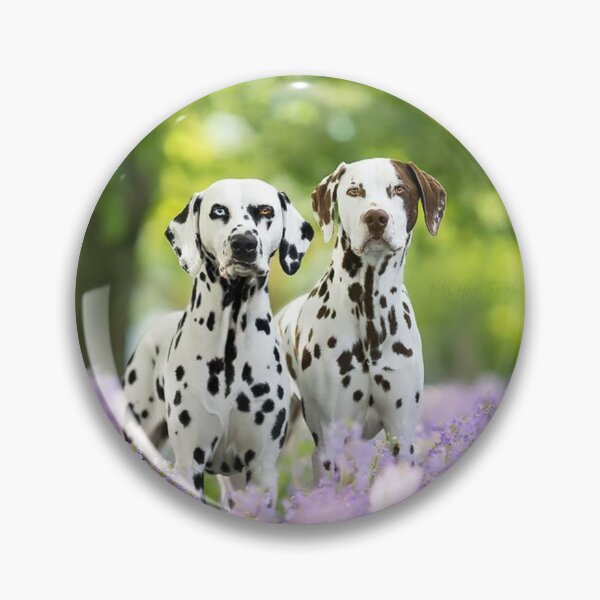 Item preview, Two Dalmatian Dogs Standing in a Field designed and sold by VanGaldo.