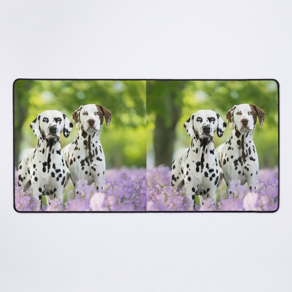 Item preview, Two Dalmatian Dogs Standing in a Field designed and sold by VanGaldo.