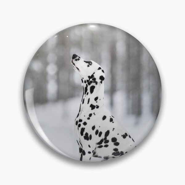 Item preview, Side Profile Portrait of a Dalmatian Dog Sitting designed and sold by VanGaldo.