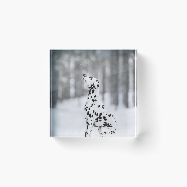 Item preview, Side Profile Portrait of a Dalmatian Dog Sitting designed and sold by VanGaldo.