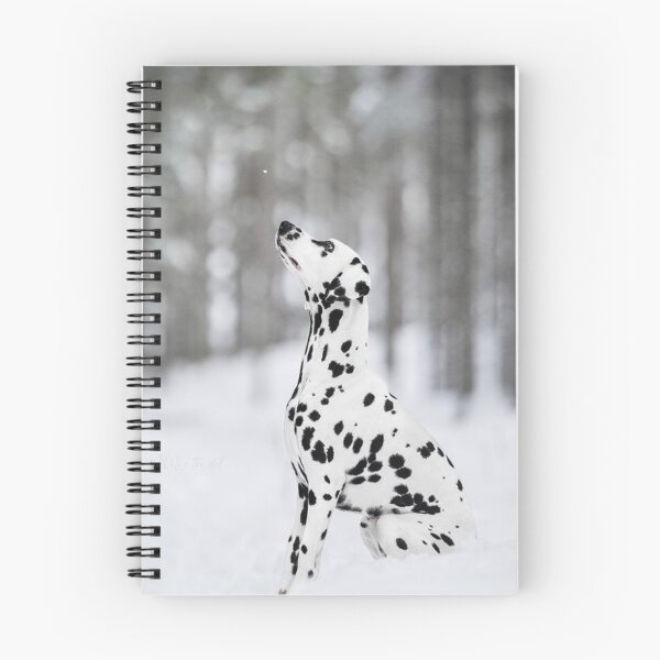Item preview, Side Profile Portrait of a Dalmatian Dog Sitting designed and sold by VanGaldo.