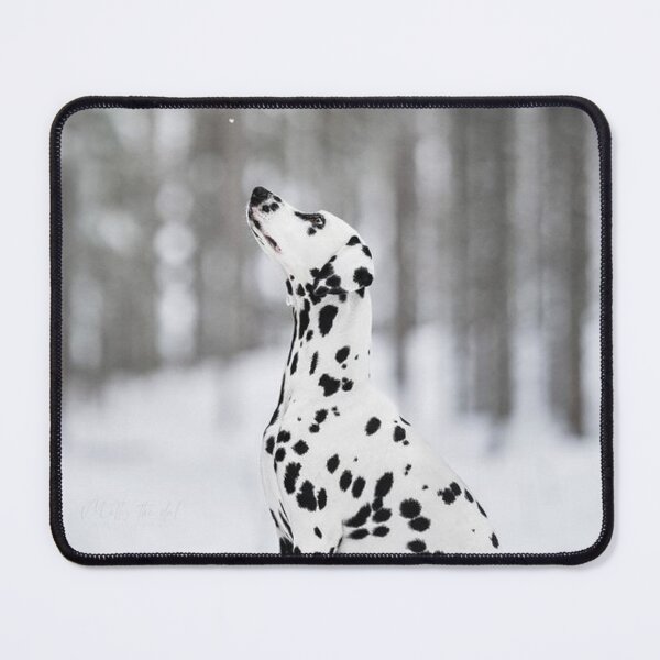 Item preview, Side Profile Portrait of a Dalmatian Dog Sitting designed and sold by VanGaldo.