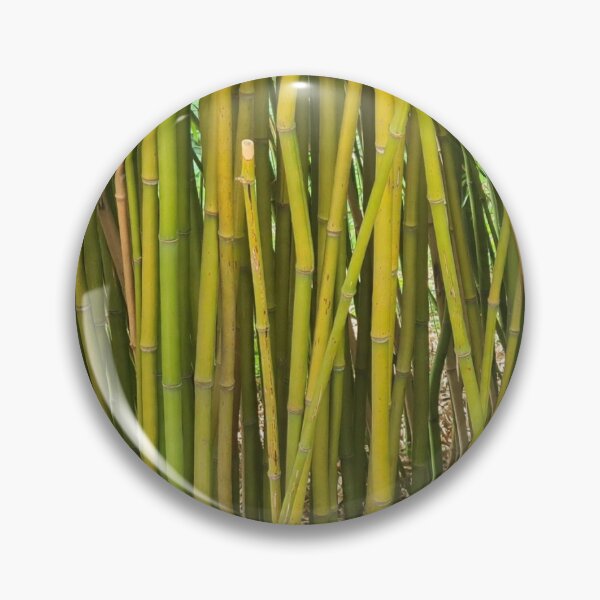 Item preview, ManOlio Bamboo designed and sold by ManOlio.