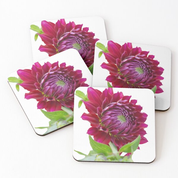 Item preview, Vibrant Deep Magenta-Purple Dahlia Flower with Buds Isolated on White Background designed and sold by CreativeNest Prints.