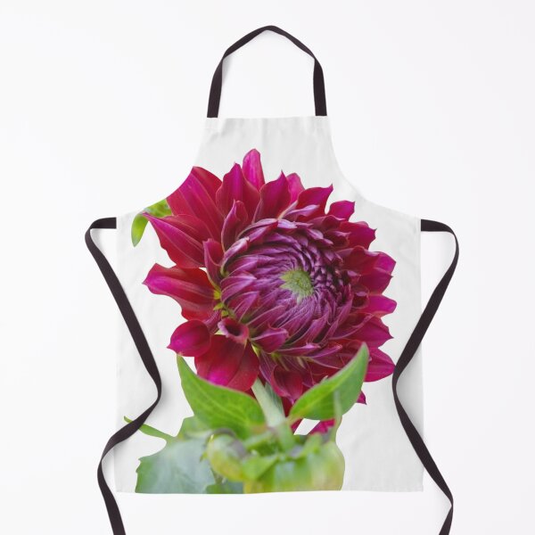 Item preview, Vibrant Deep Magenta-Purple Dahlia Flower with Buds Isolated on White Background designed and sold by CreativeNest Prints.