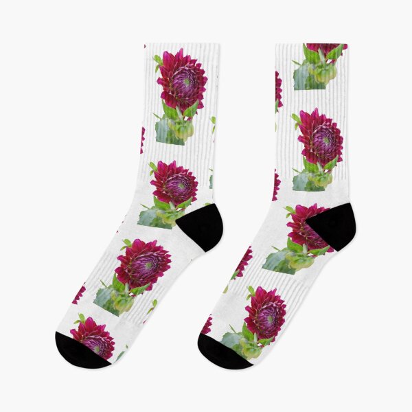 Item preview, Vibrant Deep Magenta-Purple Dahlia Flower with Buds Isolated on White Background designed and sold by CreativeNest Prints.