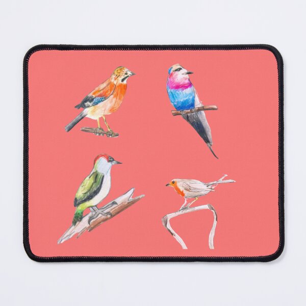 Item preview, My First Birds (Kids' Stuff) designed and sold by Charlotte's Shop of Bird Stuff.