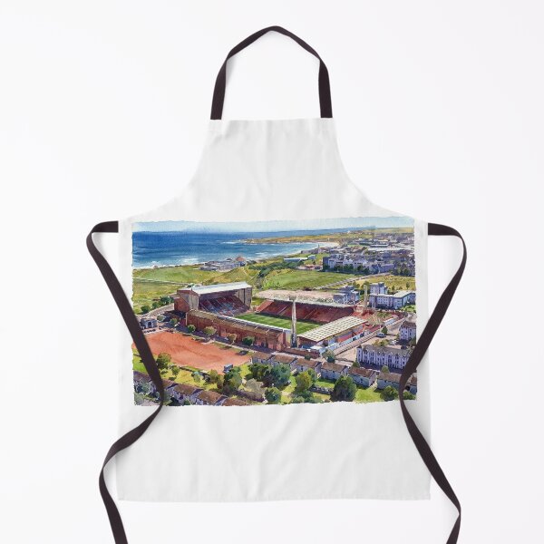 Item preview, Historic Pittodrie Stadium, Aberdeen Aerial Watercolour designed and sold by ArtworkNorth.
