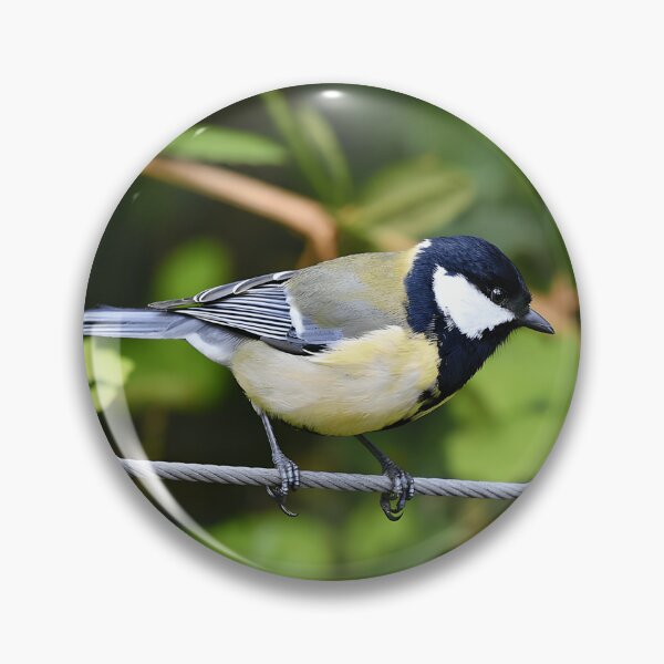 Item preview, Great Tit Bird Watching Wildlife Nature designed and sold by sonenbergbtye.