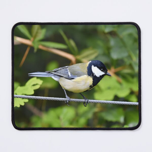 Item preview, Great Tit Bird Watching Wildlife Nature designed and sold by sonenbergbtye.