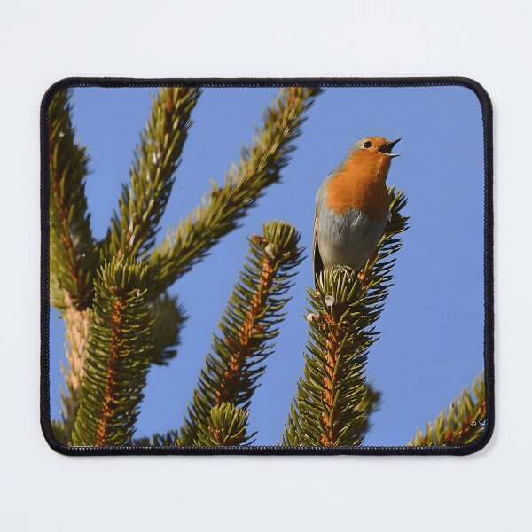 Item preview, Robin Songbird Nature Wildlife Bird Watching Enthusiast designed and sold by sonenbergbtye.