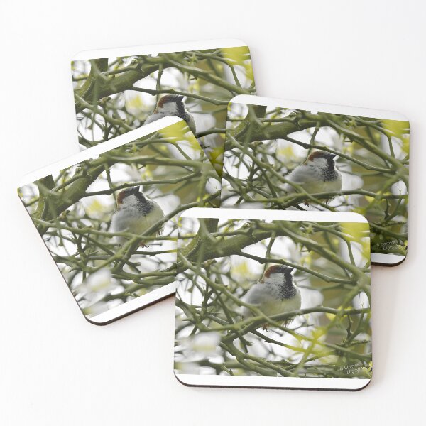 Item preview, House Sparrow Bird Watcher Nature Lover designed and sold by sonenbergbtye.
