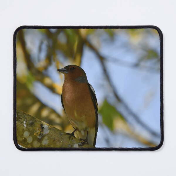 Item preview, Chaffinch Bird Watcher Nature Lover Wildlife Gift designed and sold by sonenbergbtye.