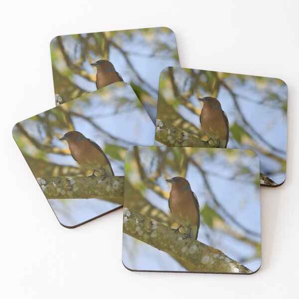 Item preview, Chaffinch Bird Watcher Nature Lover Wildlife Gift designed and sold by sonenbergbtye.