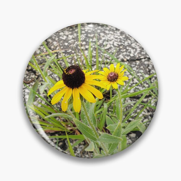 Item preview, Sidewalk Blackeyed Susans designed and sold by concretebotany.