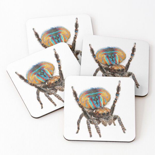 Item preview, Peacock Spider – Vivid Rainbow Fan Portrait designed and sold by Helt-enkelt.