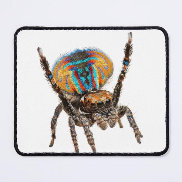 Item preview, Peacock Spider – Vivid Rainbow Fan Portrait designed and sold by Helt-enkelt.