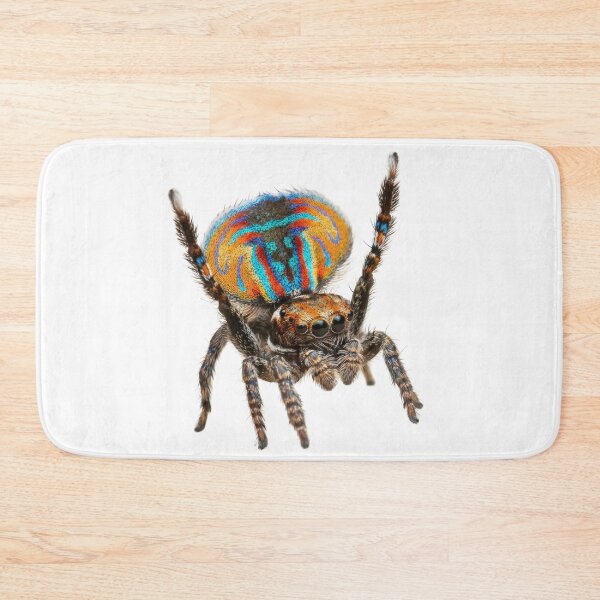 Item preview, Peacock Spider – Vivid Rainbow Fan Portrait designed and sold by Helt-enkelt.