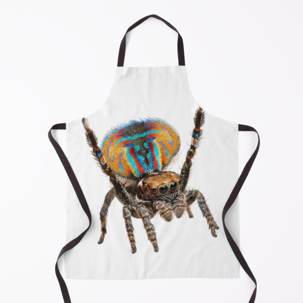 Item preview, Peacock Spider – Vivid Rainbow Fan Portrait designed and sold by Helt-enkelt.