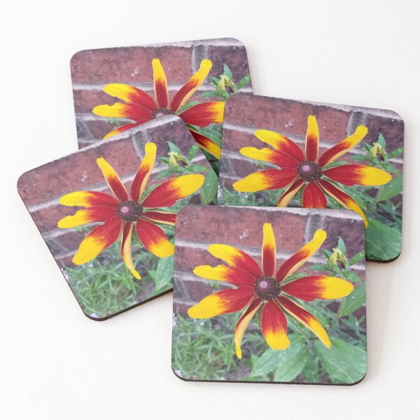Item preview, Fancy Blackeyed Susan Growing from the Sidewalk designed and sold by concretebotany.