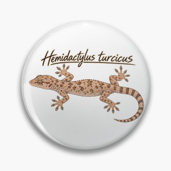 Item preview, Mediterranean House Gecko – Hemidactylus turcicus Field Guide Sketch designed and sold by threadandfangs.