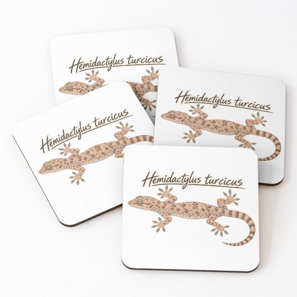 Item preview, Mediterranean House Gecko – Hemidactylus turcicus Field Guide Sketch designed and sold by threadandfangs.