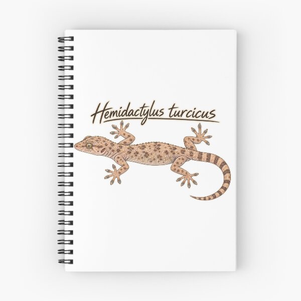 Item preview, Mediterranean House Gecko – Hemidactylus turcicus Field Guide Sketch designed and sold by threadandfangs.