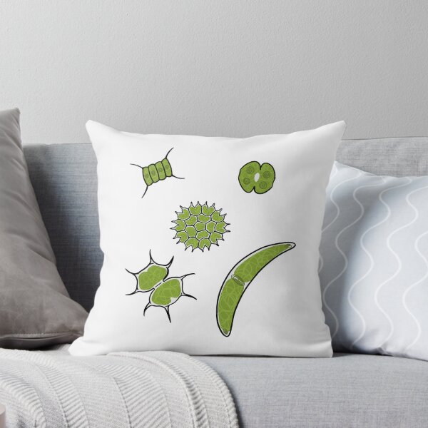 Item preview, Desmids artwork designed and sold by cyanochic.