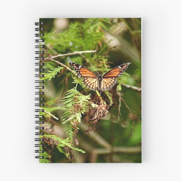 Item preview, Monarch in the Cypress designed and sold by Bayou Wonder.