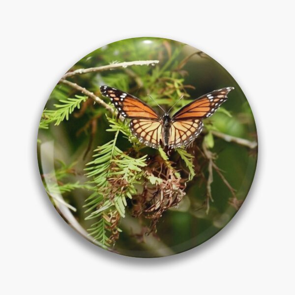 Item preview, Monarch in the Cypress designed and sold by Bayou Wonder.