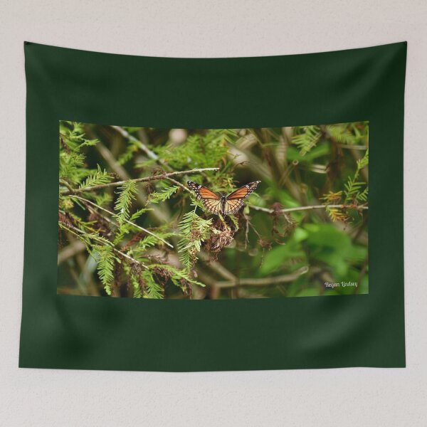 Item preview, Monarch in the Cypress designed and sold by Bayou Wonder.