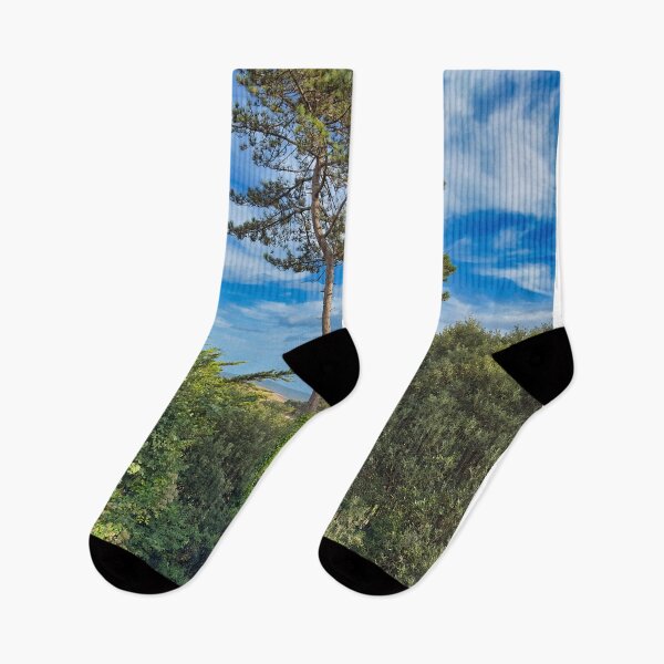 Item preview, Coastal Pine Trees Overlooking the Ocean | Scenic Nature Photography designed and sold by leonwoods.