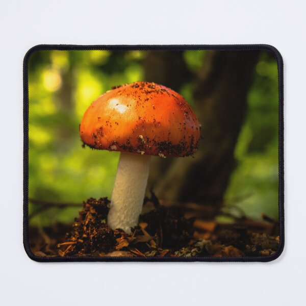 Item preview, A touch of elf land: Magical fly agaric designed and sold by Tammigrafie.