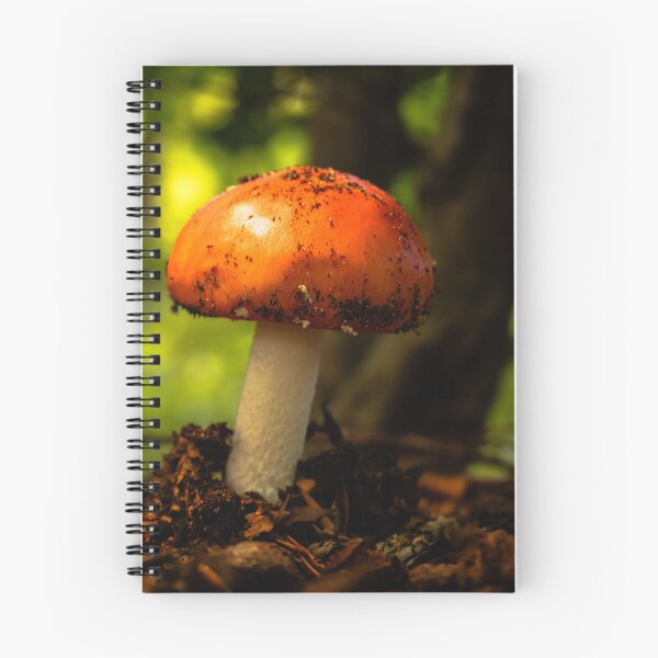 Item preview, A touch of elf land: Magical fly agaric designed and sold by Tammigrafie.