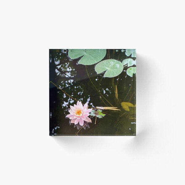 Item preview, Water Lily designed and sold by Featherstone(d).