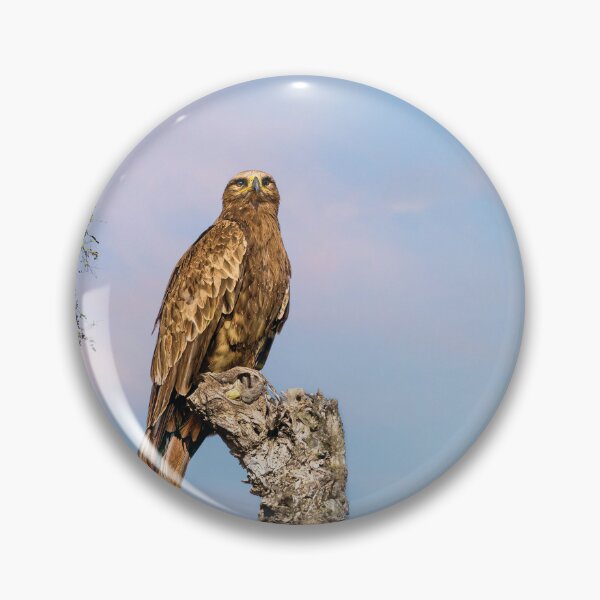 Item preview, Steppe Eagle Perched designed and sold by Kay Brewer.