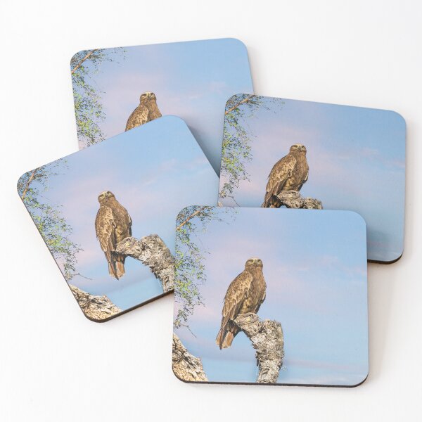 Item preview, Steppe Eagle Perched designed and sold by Kay Brewer.
