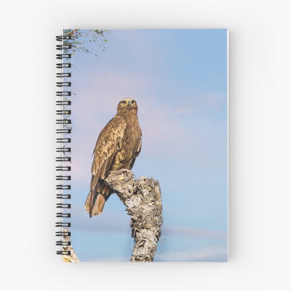 Item preview, Steppe Eagle Perched designed and sold by Kay Brewer.