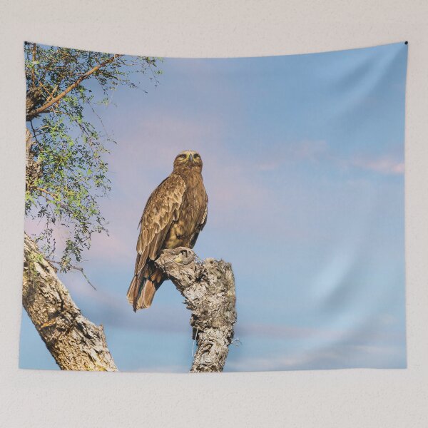 Item preview, Steppe Eagle Perched designed and sold by Kay Brewer.
