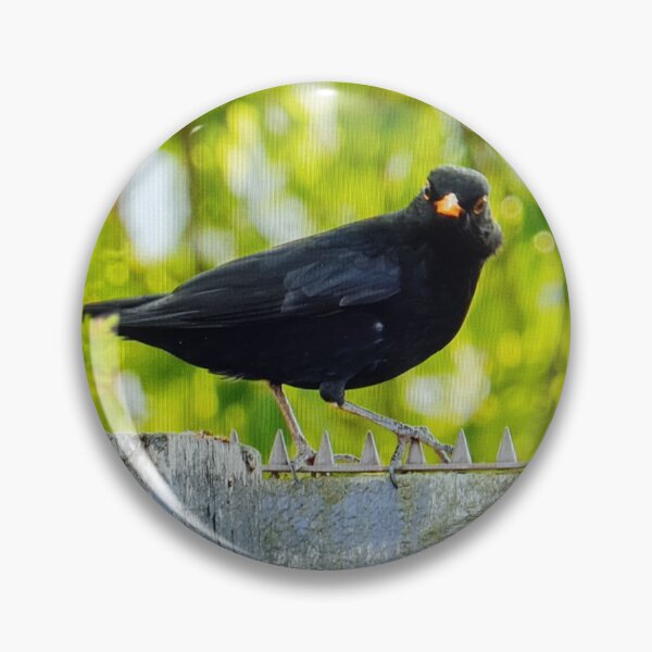 Item preview, Blackbird on a Fence designed and sold by GreenNBlue.