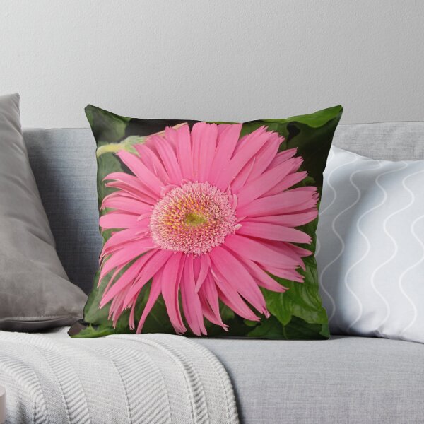 Regalos y productos: Margarita Rosada Del Gerbera | Redbubble