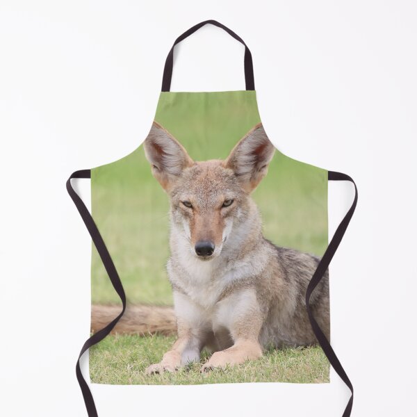 Item preview, Gorgeous Coyote designed and sold by simonjayphotos.